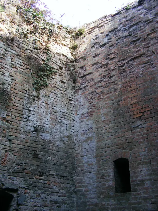 Polo Di Mantenimento Pesante 16