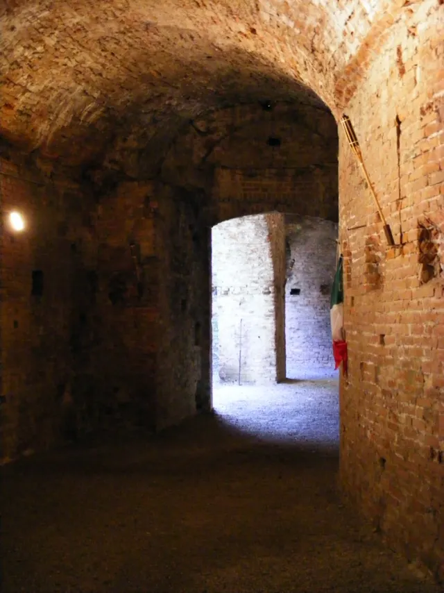 Polo Di Mantenimento Pesante 7